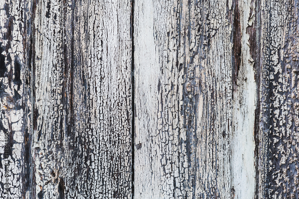 Wooden texture with peeling white paint and cracks Wooden texture with peeling white paint and cracks