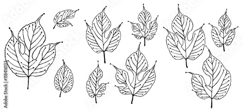 Stylized mulberry leaves outline drawing vector art illustration