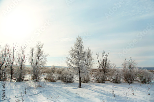 scenic winter landscape © bakharev