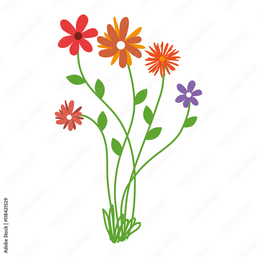 flower bouquet floral spring plant petal nature decorative vector illustration isolated