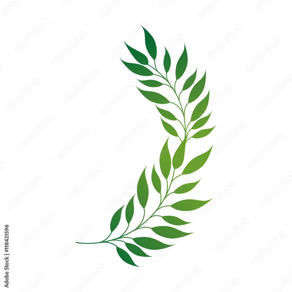 leaf green plant leaves environment flora natural nature vector illustration isolated