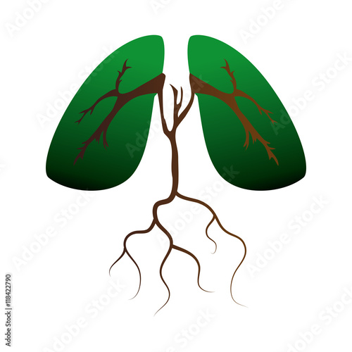lung ecology organ human green plant root enviroment vector illustration isolated