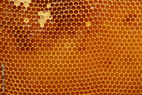 honeycomb texture with honey