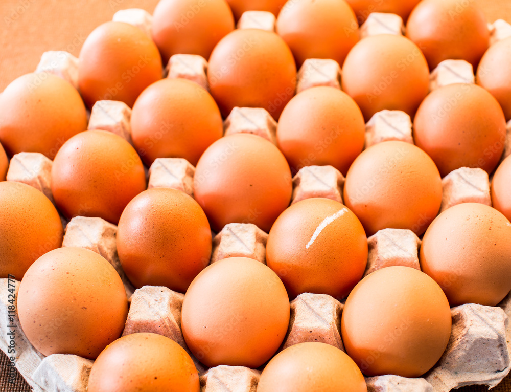 egg in tray egg in tray