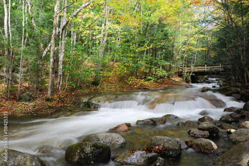brook winding down the mountain forest
