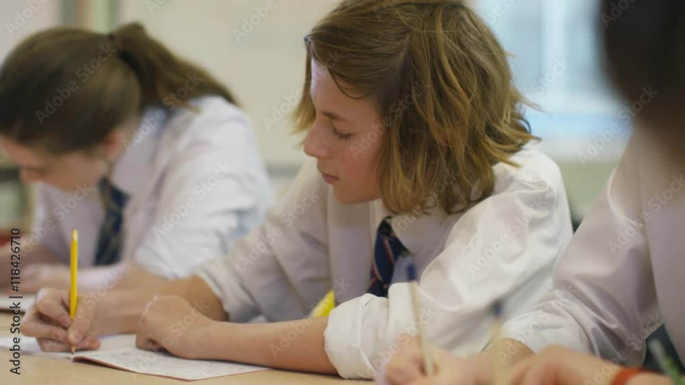  Young students working at their desks in school classroom