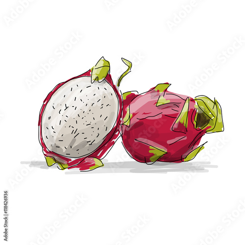 Dragon Fruit, pitahaya sketch for your design