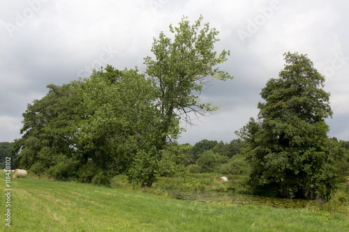 Fototapeta Naklejka Na Ścianę i Meble -  Storm summer country Lanscape in south Bohemia