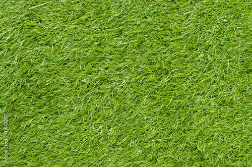 Green grass background