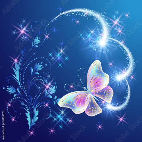 Magic  butterfly with  floral ornament and firework