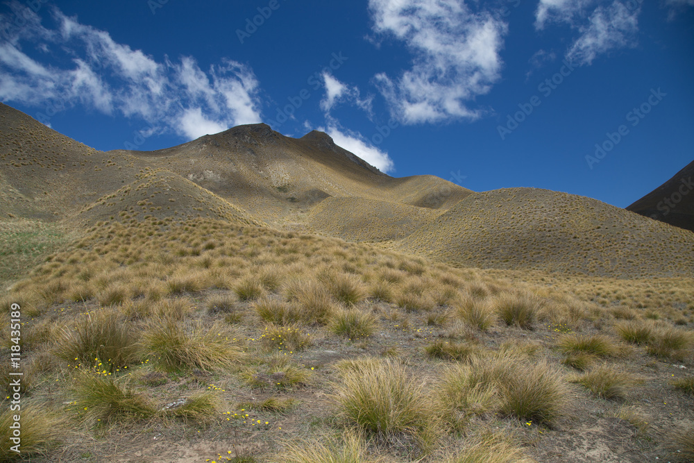 Barren landscape, Lindis Pass, New Zealand.