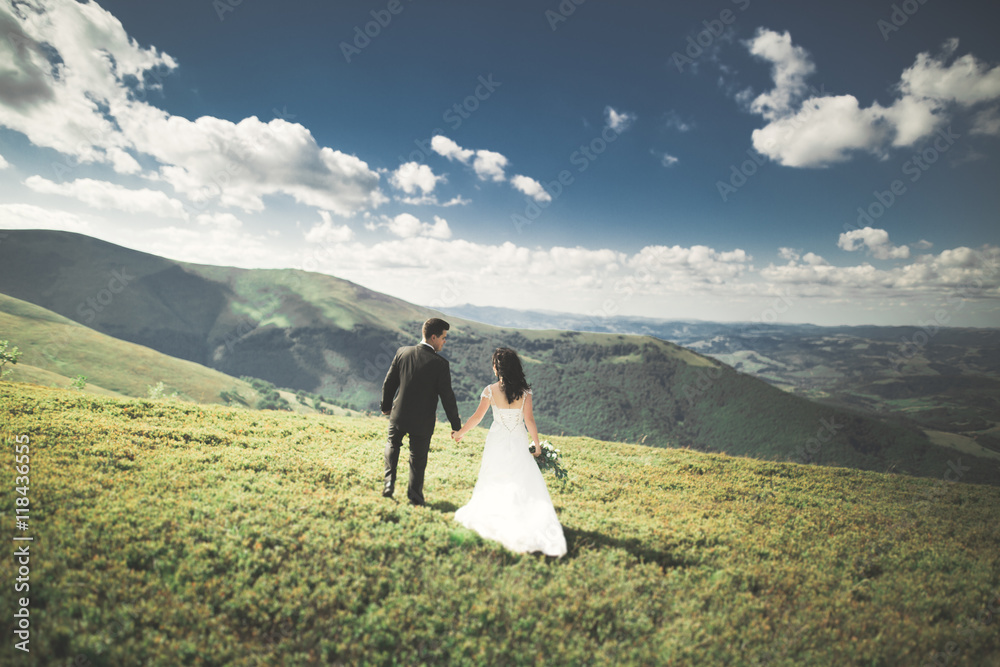 Beautiful wedding couple, bride and groom, in love on the background of mountains Beautiful wedding couple, bride and groom, in love on the background of mountains