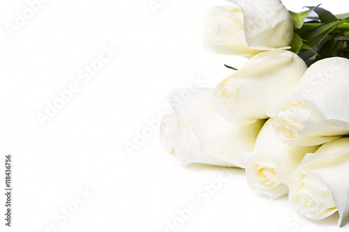 Roses Isolated On The White Background © rokvel