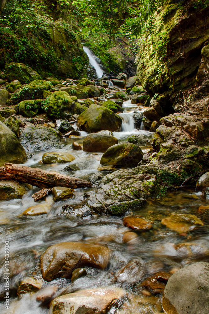 Attractive Waterfall and Green Moss Stone In Forest Attractive Waterfall and Green Moss Stone In Forest