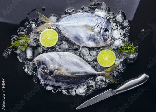 Two Fresh fish (Vomer or Selene setapinnis ) dill, knife ,  lce photo