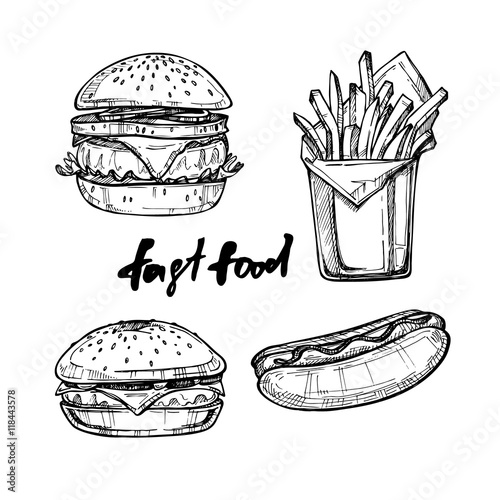 Hand drawn vector illustration - Fast food elements (hot dog, ha