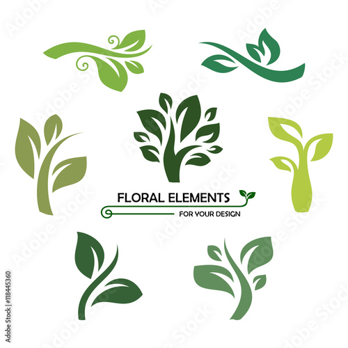 Floral elements