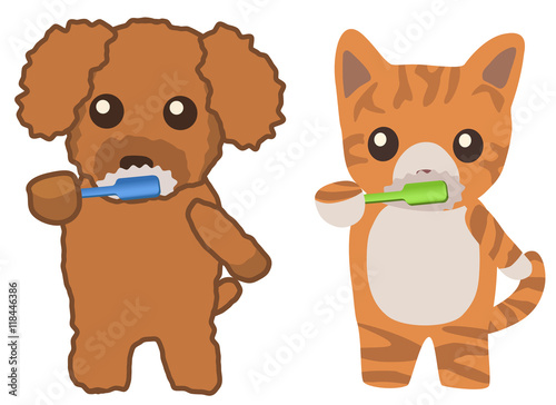 歯を磨く犬と猫