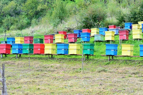 Colorful beehives in nature to produce organic honey