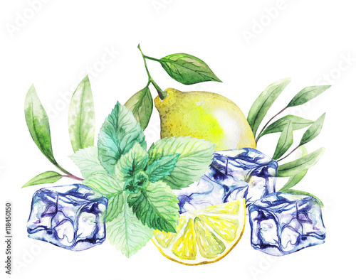 tea leafs, ice and citrus fruits. Watercolor. handmade