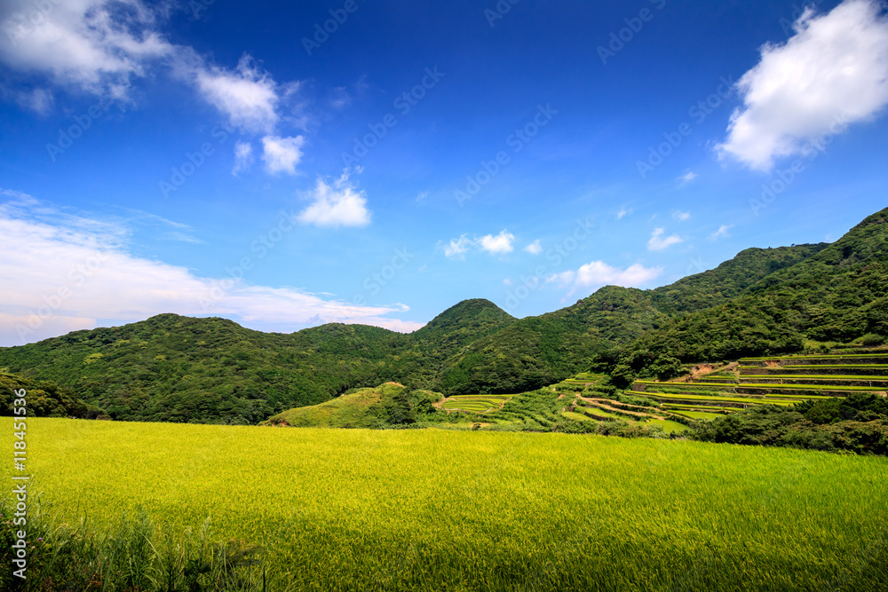 Obraz premium 春日の棚田@長崎県平戸市