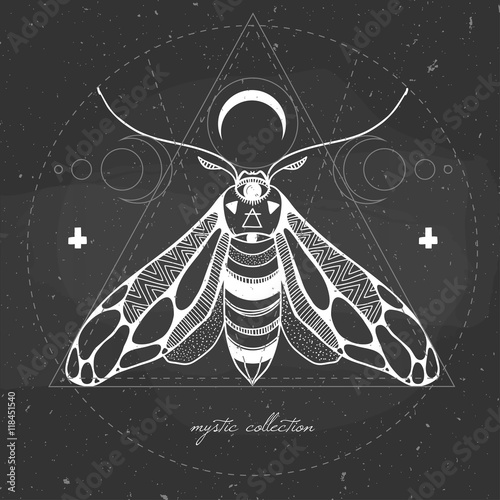 black and white mystic moth