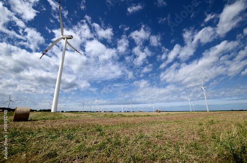 Wind farm