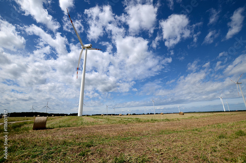 Wind farm