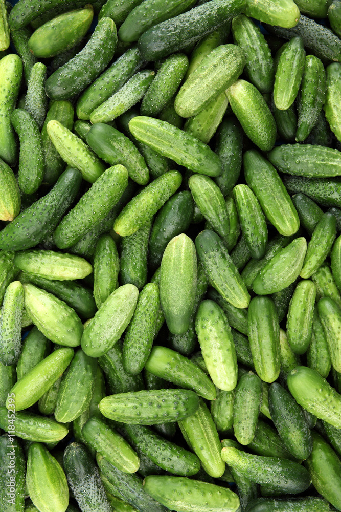 Background from fresh, green cucumber Background from fresh, green cucumber