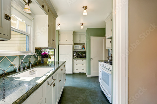 Classic American kitchen room interior in green and white tones
