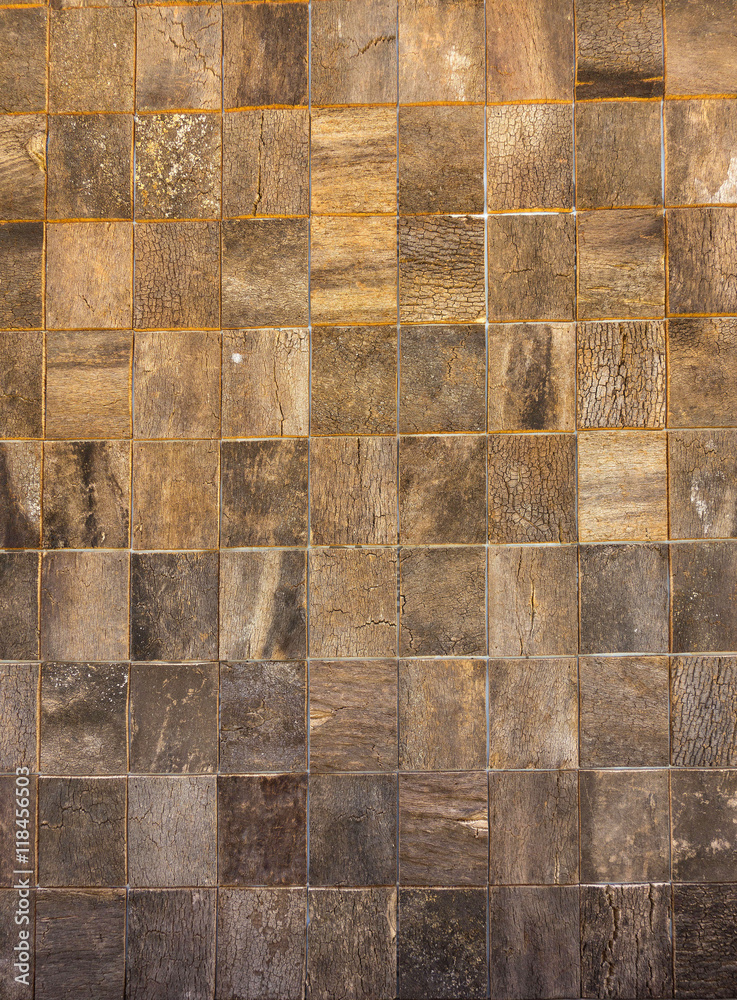 Obraz premium sort textures of bark tree