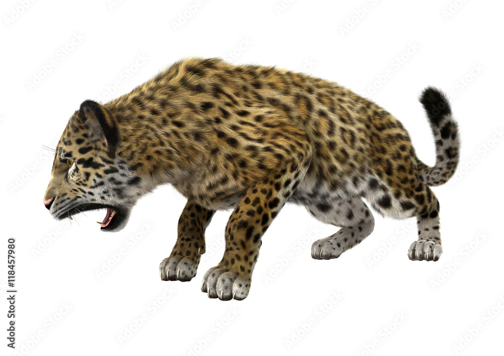 3D Rendering Big Cat Jaguar 3D Rendering Big Cat Jaguar