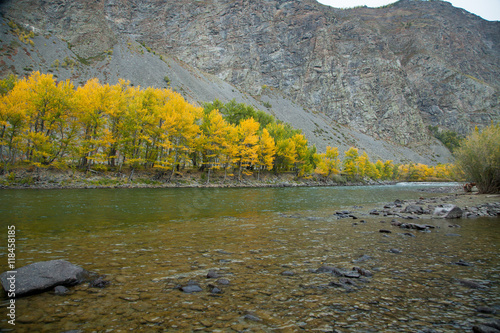 Autumn  Russia  Gorny Altai