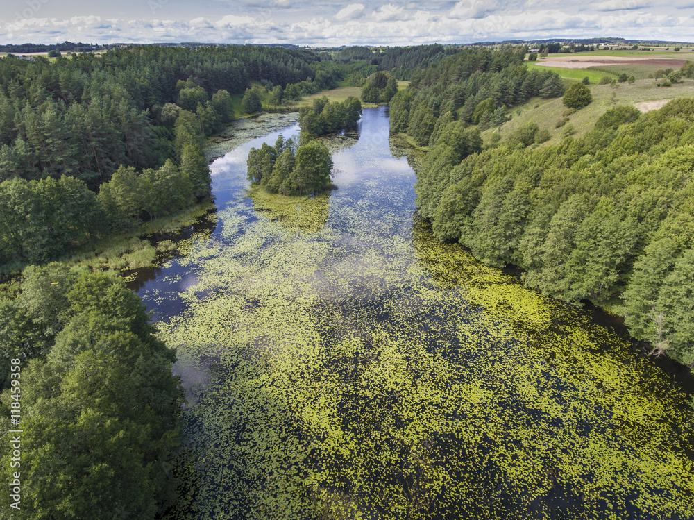 Black River Hancza in Turtul. Suwalszczyzna, Poland. Summer time