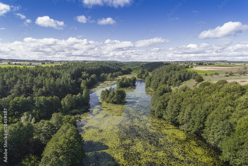 Black River Hancza in Turtul. Suwalszczyzna, Poland. Summer time