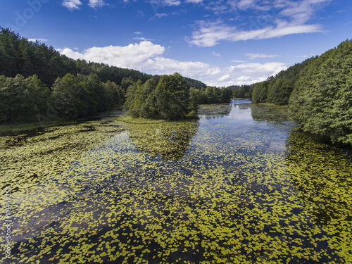 Black River Hancza in Turtul. Suwalszczyzna, Poland. Summer time photo