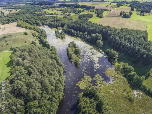 Black River Hancza in Turtul. Suwalszczyzna, Poland. Summer time photo