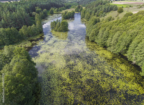 Black River Hancza in Turtul. Suwalszczyzna, Poland. Summer time photo