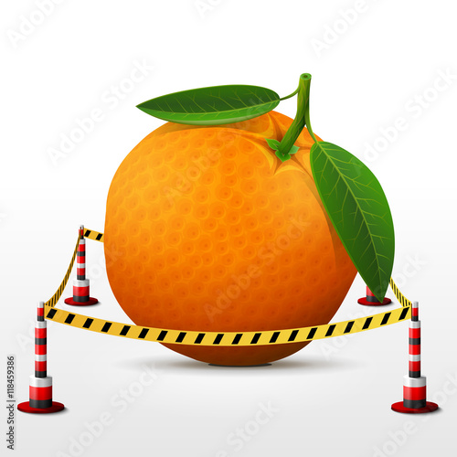 Orange fruit located in restricted area. Orange with leaves surrounded barrier tape. Qualitative vector illustration about orange, agriculture, fruits, cooking, farming, gastronomy, gardening, etc