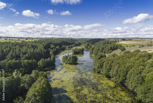 Black River Hancza in Turtul. Suwalszczyzna  Poland. Summer time
