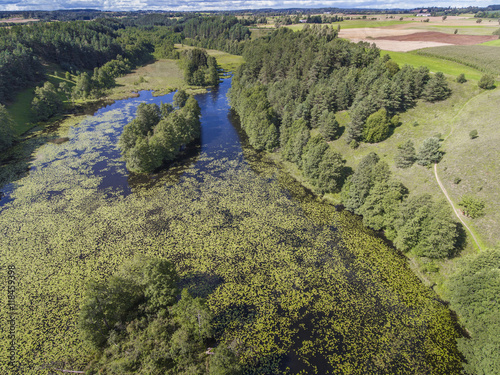 Black River Hancza in Turtul. Suwalszczyzna, Poland. Summer time photo