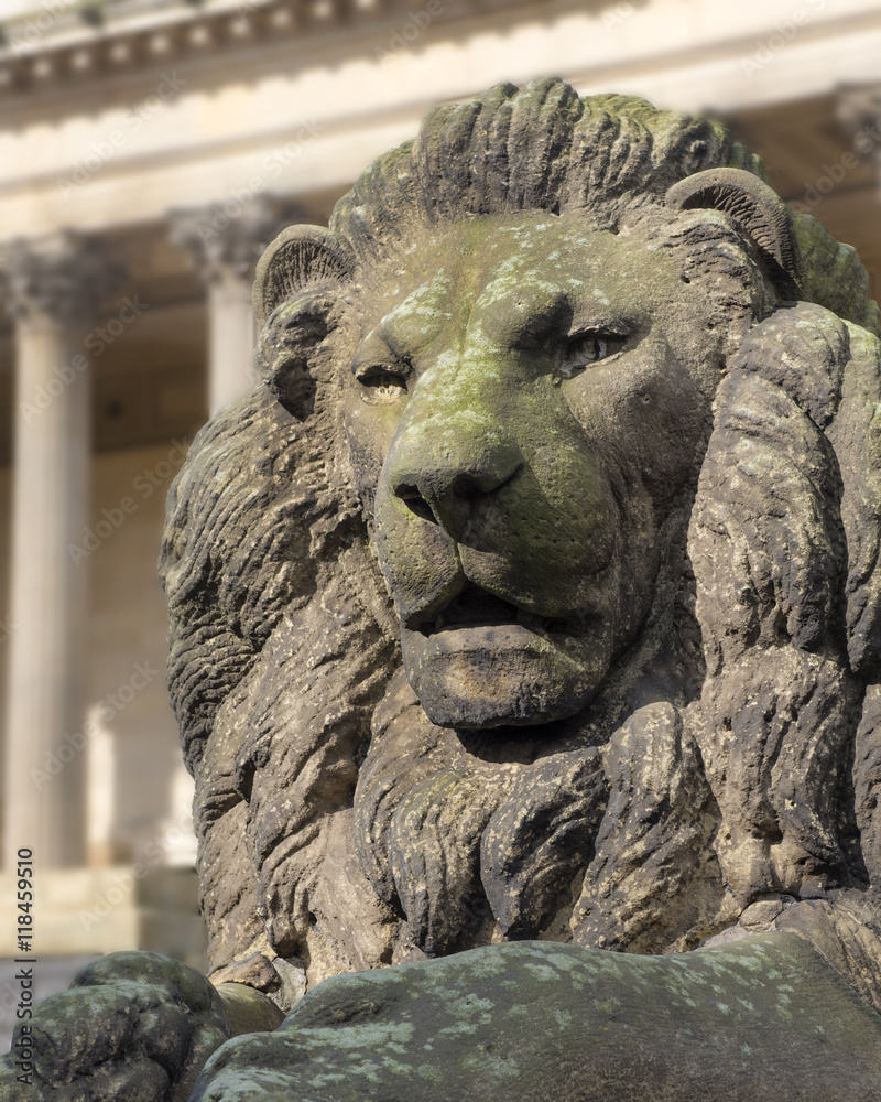Lion statue outside St George's Hall, central Liverpool Lion statue outside St George's Hall, central Liverpool