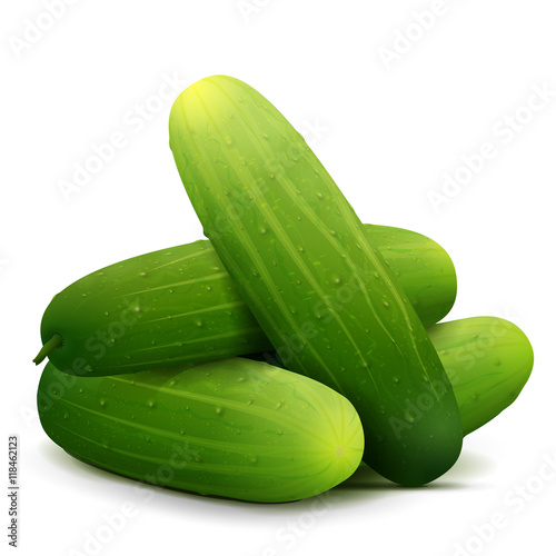 Heap of fresh cucumbers close up. Few raw cukes isolated on white background. Qualitative vector illustration about cucumber, agriculture, veggies, cooking, farming, gastronomy, olericulture, etc