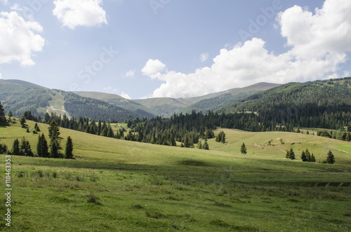 picturesque green meadows of Ukrainian Carpathians 