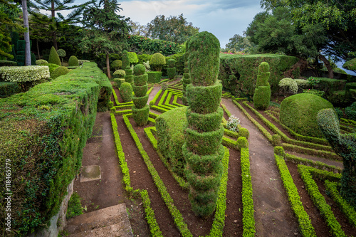 Decorative green plants view at Botanical garden in Funchal, Madeira