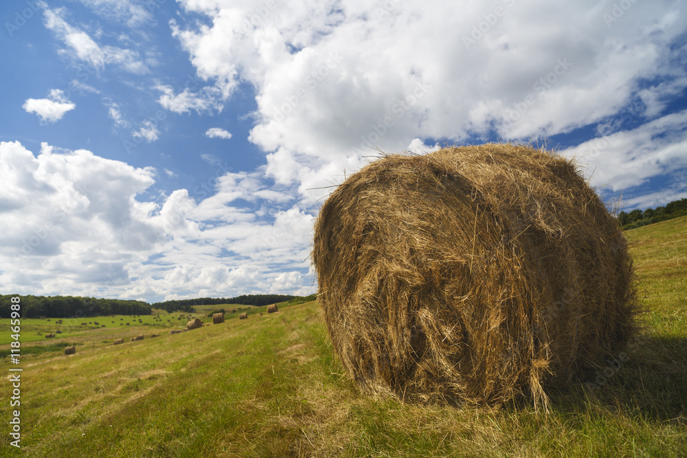 a harvest landscape vista in rolling hills in Romania with round a harvest landscape vista in rolling hills in Romania with round