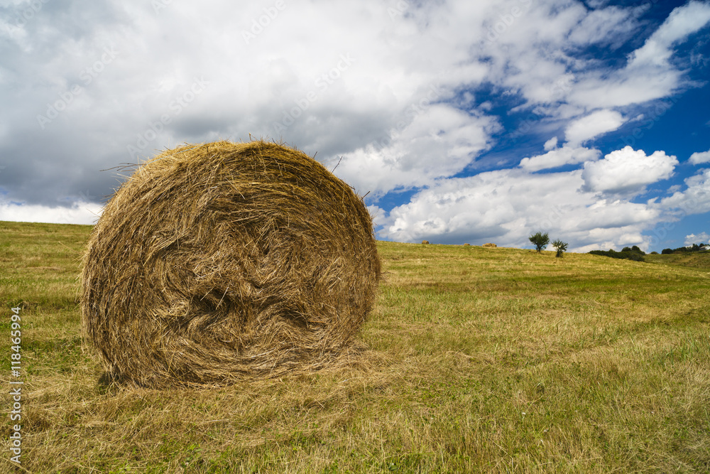 a harvest landscape vista in rolling hills in Romania with round a harvest landscape vista in rolling hills in Romania with round