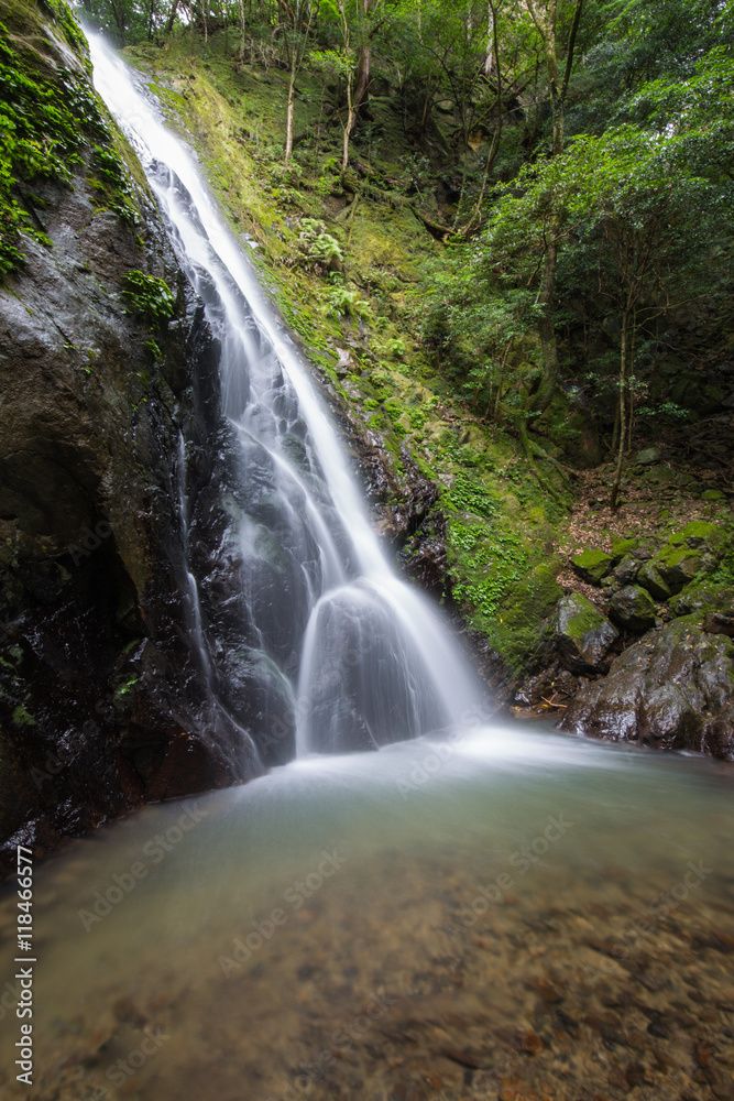 Fototapeta premium 愛媛県宇和島市 秡川渓谷 やけ滝