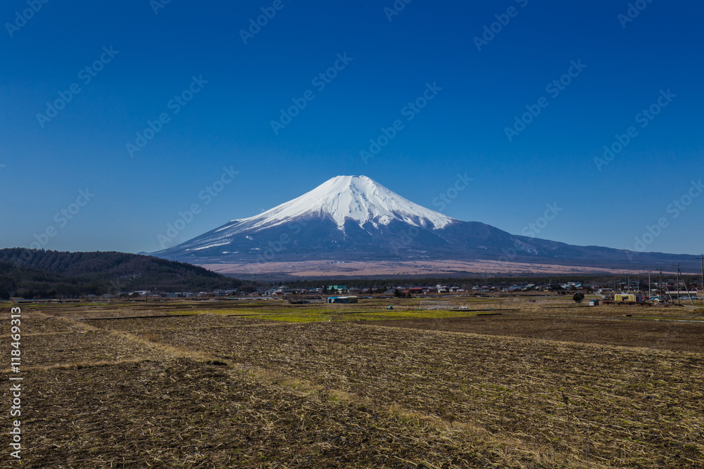 忍野村から見た富士山