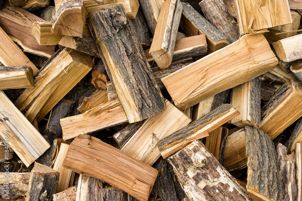 freshly made firewood in the forest freshly made firewood in the forest